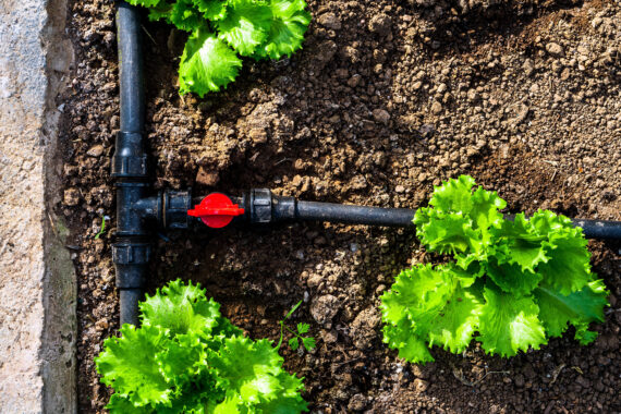 Bediening mogelijk halfrond koper Breng je tuin in topvorm met een slim irrigatiesysteem